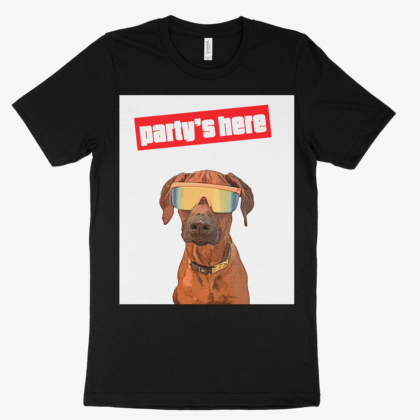 Custom Pet Art Mens Crew Neck T-shirt