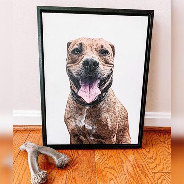 Pop Chic Modern Framed Canvas