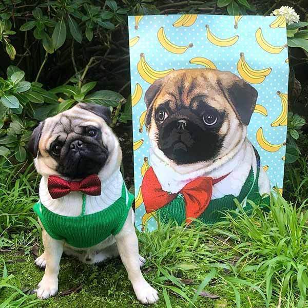 Custom Pet Art Poster