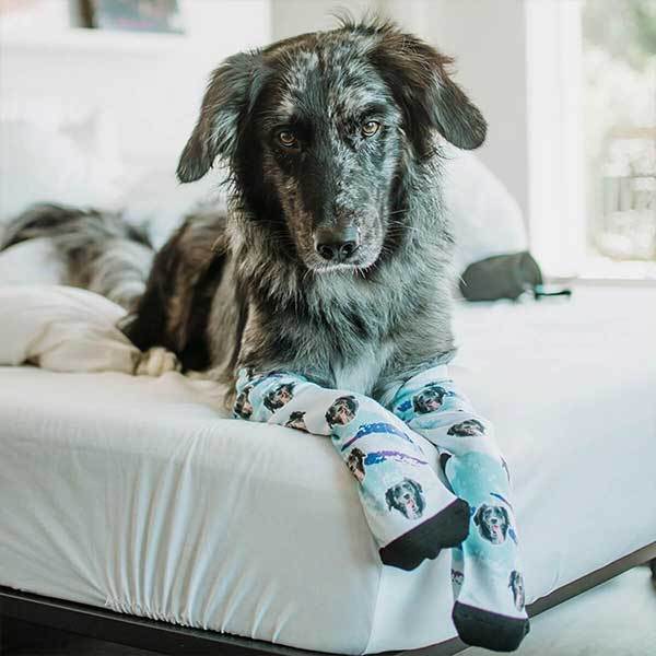 Custom Pup Socks