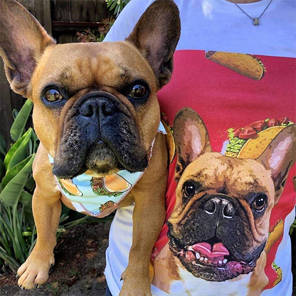 Original Pet Pop Art Women's Crew