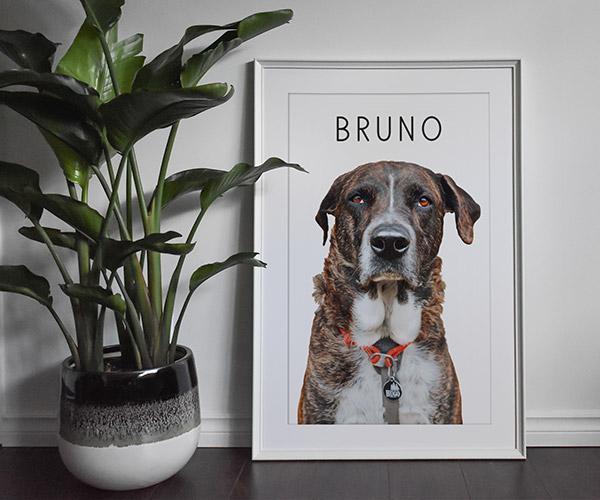 Pop Chic Framed Gallery Print