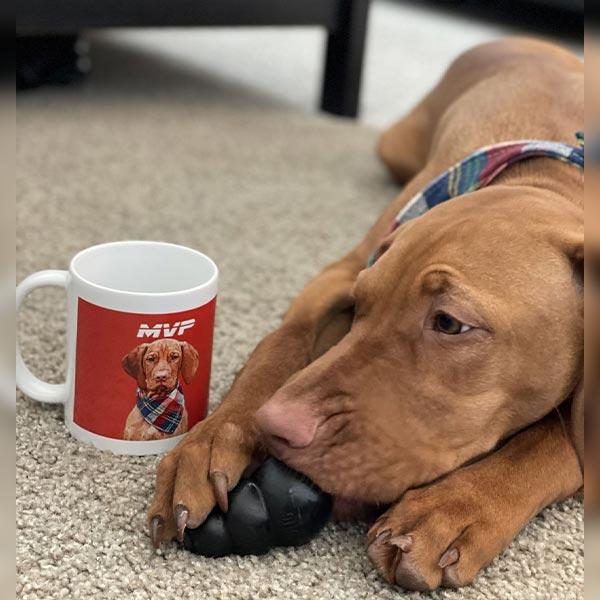 Custom Pet Art Coffee Mugs