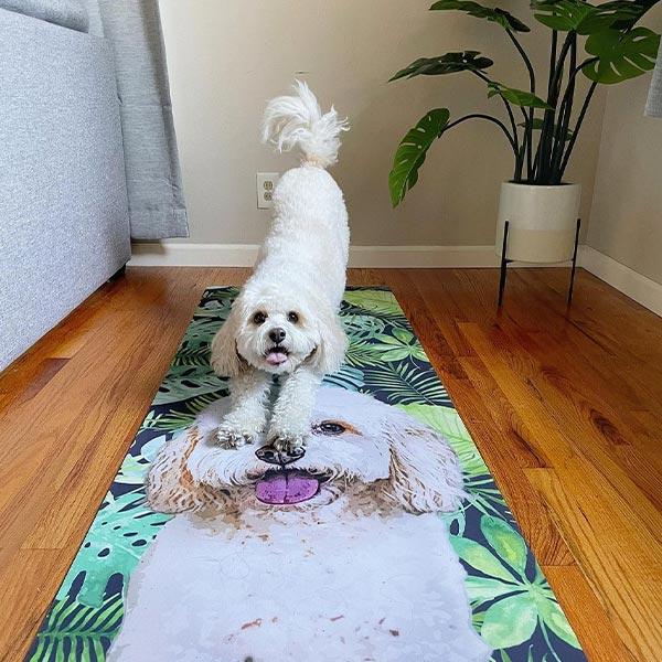 Custom Pet Art Yoga Mat