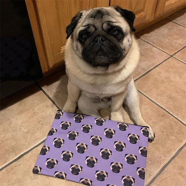 Original Pet Pop Art Accessory Pouch