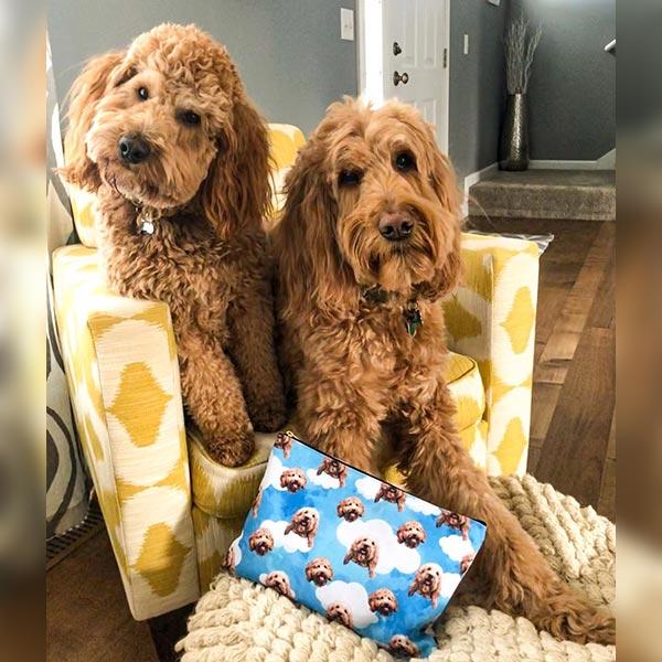 Original Pet Pop Art Accessory Pouch