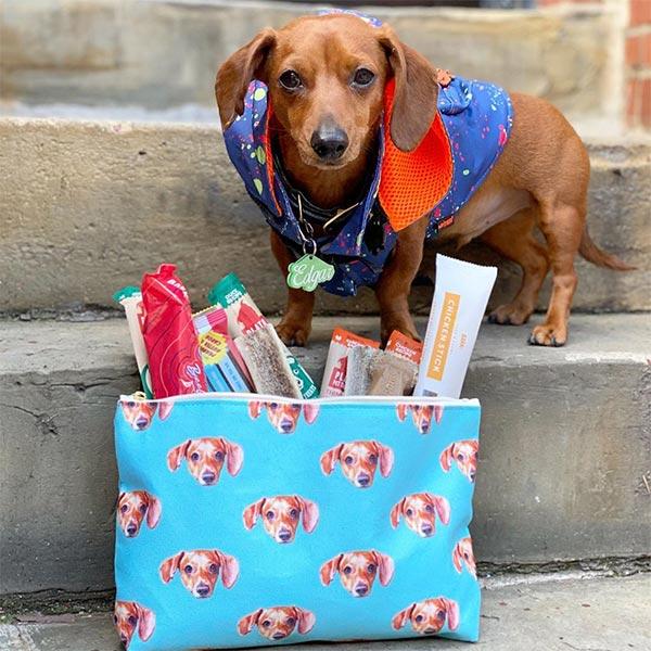 Original Pet Pop Art Accessory Pouch