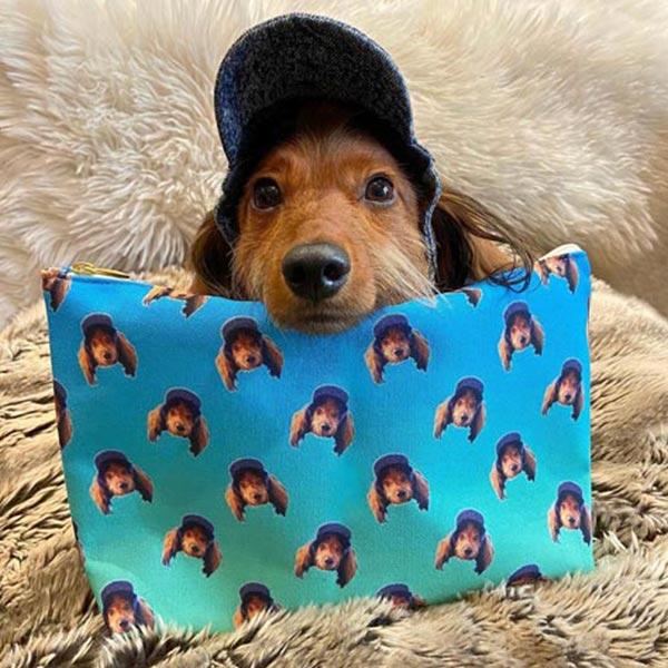 Original Pet Pop Art Accessory Pouch
