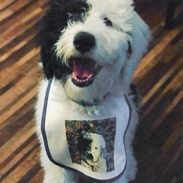 Original Pet Pop Art Bib