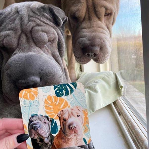 Original Pet Pop Art Coasters