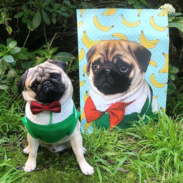 Original Pet Pop Art Poster