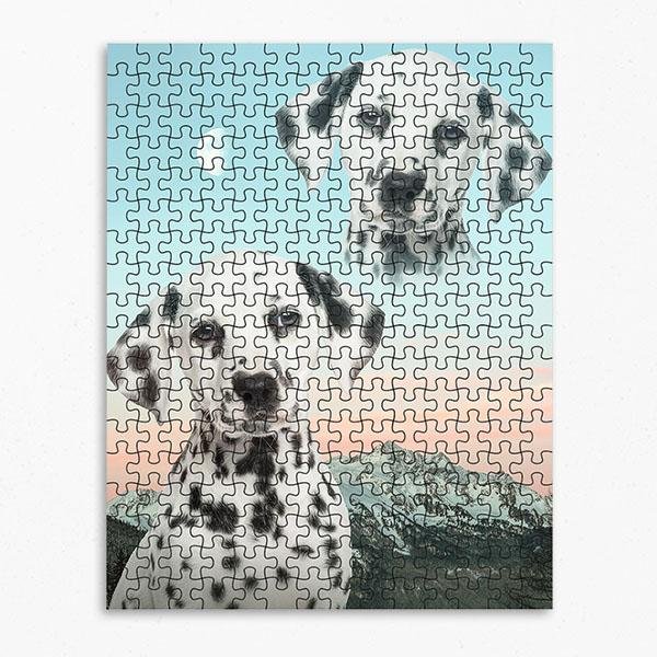 Super Portrait Puzzle
