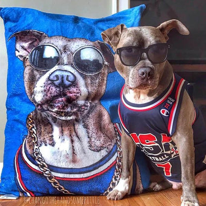 Original Pet Pop Art Dog Bed