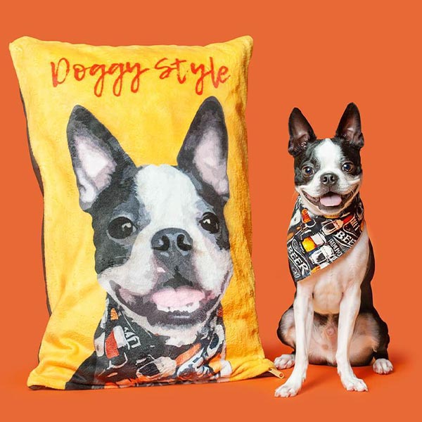 Original Pet Pop Art Dog Bed