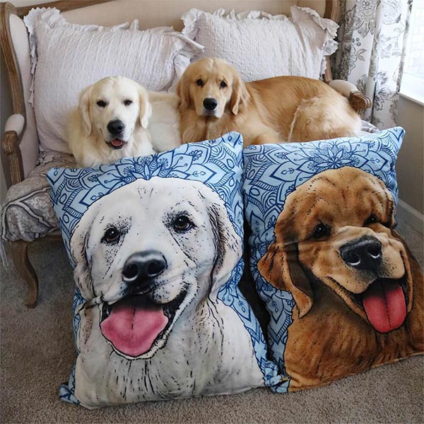 Original Pet Pop Art Dog Bed
