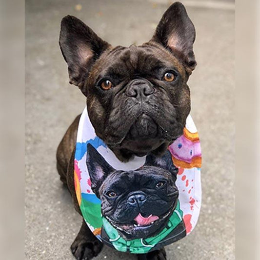 Custom Pet Art Baby Bib