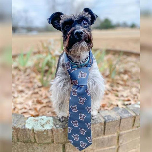 Custom Pet Art Neck Ties