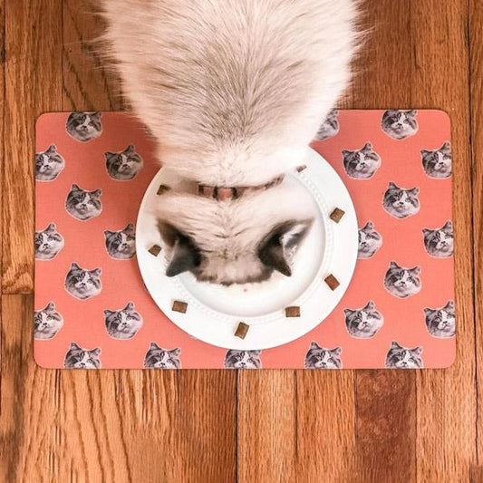 Custom Pet Art Pet Placemats