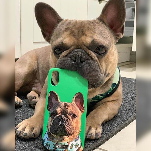 Custom Pet Art Phone Case