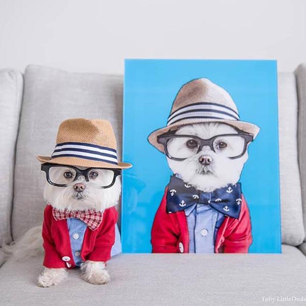 Original Pet Pop Art Acrylic Wall Art