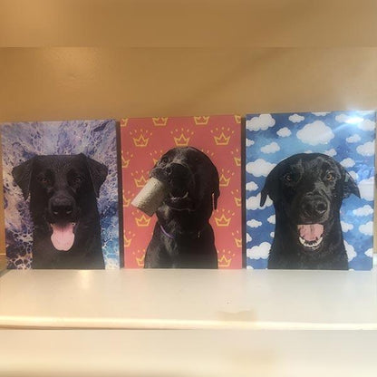 Original Pet Pop Art Acrylic Wall Art