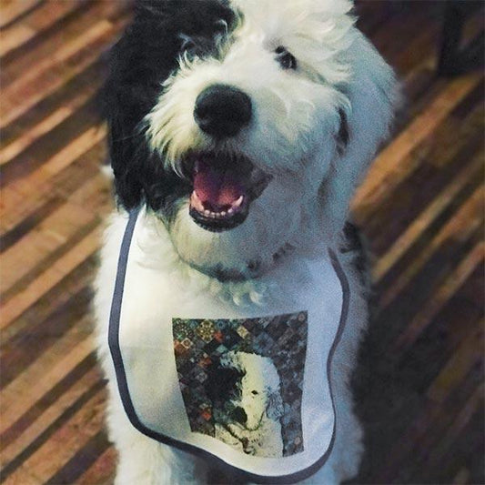 Original Pet Pop Art Bib