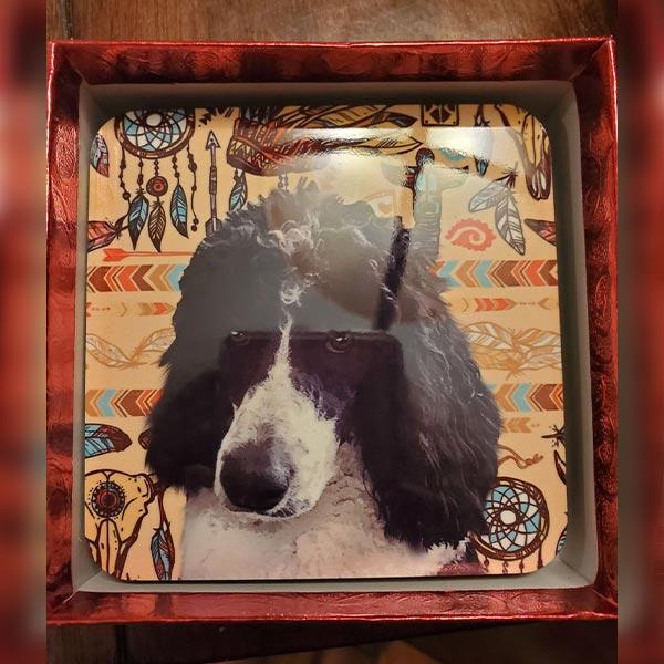 Original Pet Pop Art Coasters