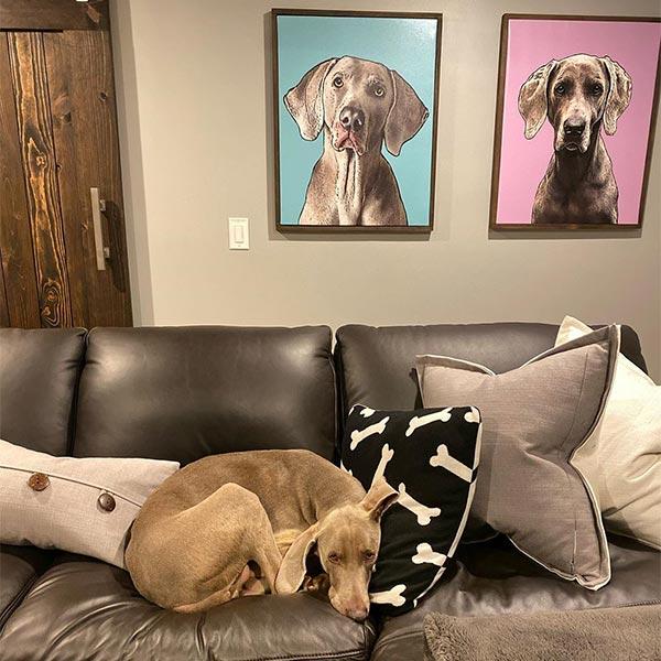 Original Pet Pop Art Framed Canvas
